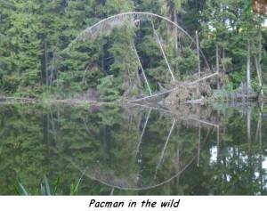 daily_picdump_1896_640_84