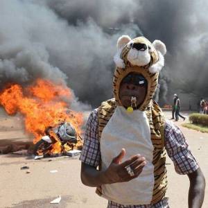 daily_picdump_1898_640_57