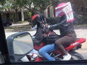 daily_picdump_1899_640_72