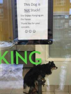 daily_picdump_1901_640_71