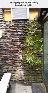 daily_picdump_1901_640_high_38