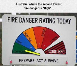 daily_picdump_1902_640_104