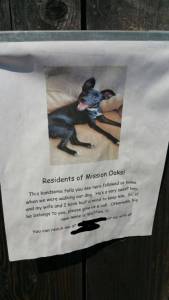 daily_picdump_1909_640_high_07