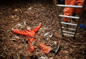 daily_picdump_1919_640_48