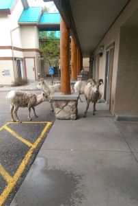 daily_pidcdump_1819_640_71