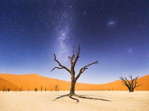 deadvlei-africa-namibia_91343_990x742