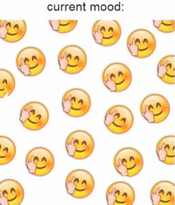 funny_picdump_1029_640_05