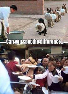 funny_picdump_1030_640_high_48