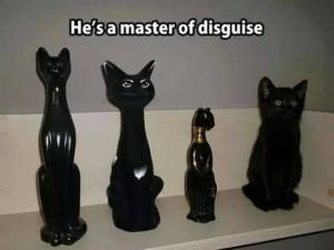 funny_picdump_1044_640_31