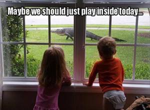 funny_picdump_1056_640_46