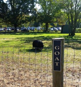 funny_picdump_813_640_44