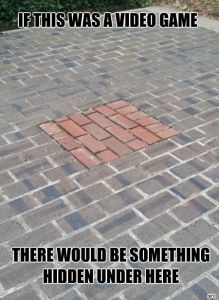 funny_picdump_891_640_16