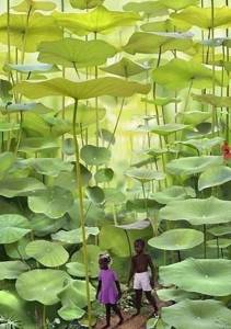 its_more_than_just_a_photo_640_32