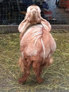 morning_picdump_677_640_28