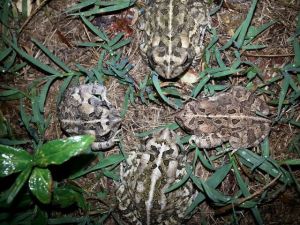 morning_picdump_761_640_38