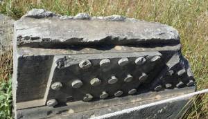 morning_picdump_775_640_19