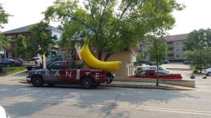 morning_picdump_777_640_52