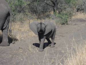 morning_picdump_780_640_16