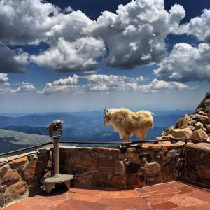 morning_picdump_780_640_42