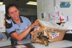 morning_picdump_784_640_04