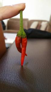 morning_picdump_784_640_30