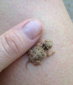 morning_picdump_787_640_26