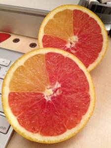 morning_picdump_788_640_30