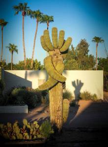 morning_picdump_795_640_13