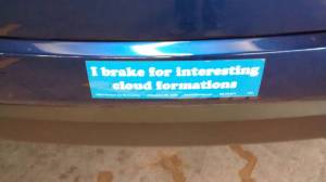 morning_picdump_797_640_09