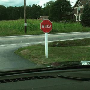 morning_picdump_799_640_28