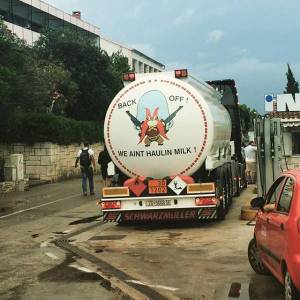 morning_picdump_801_640_50