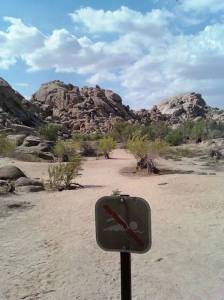 morning_picdump_802_640_52