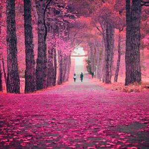 morning_picdump_805_640_43