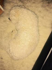 morning_picdump_806_640_14