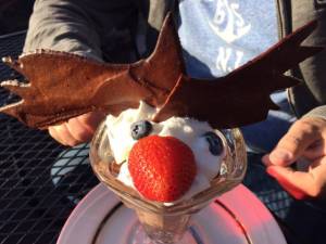 morning_picdump_807_640_05