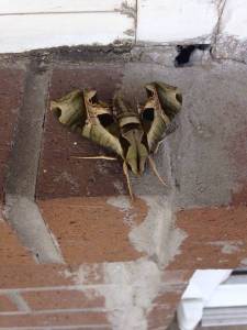 morning_picdump_807_640_35