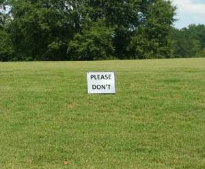 morning_picdump_808_640_39