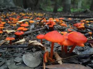 morning_picdump_810_640_17