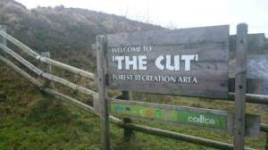 public_signs_wtf_640_38