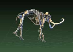 Screen Shot 2015-09-08 at 6.26.50 PM