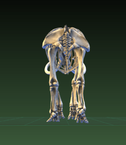 Screen Shot 2015-09-08 at 6.27.16 PM