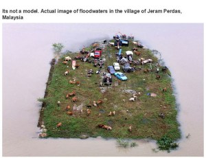 very_interesting_photo_03-3