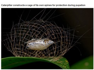 very_interesting_photo_07-1