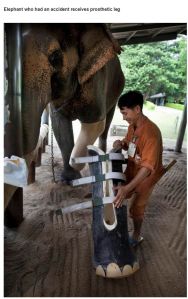 very_interesting_photo_14