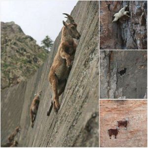 very_interesting_photo_16