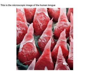 very_interesting_photos_07-3