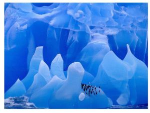 very_interesting_photos_11-1