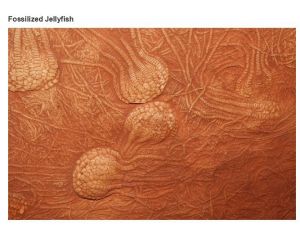 very_interesting_photos_13-5