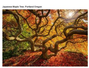 very_interesting_photos_22-3