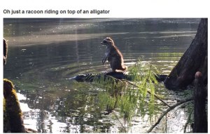 very_interesting_photos_22